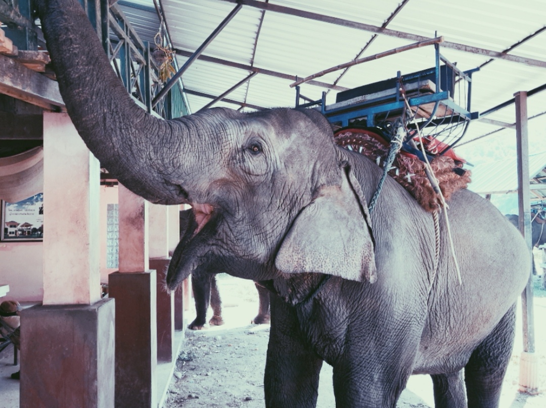 Screenshot_20190423_160238